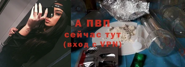 СК Бронницы