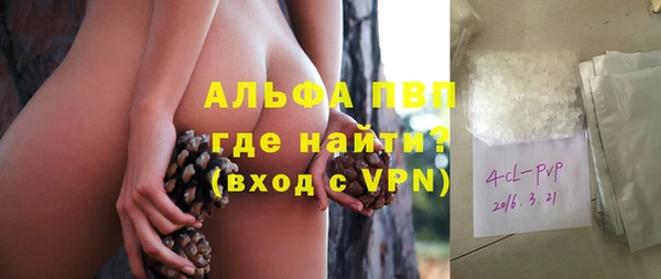СК Бронницы