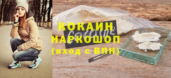 СК Бронницы
