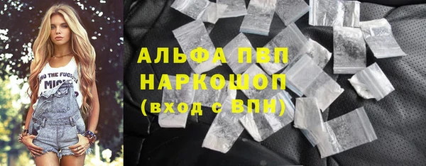 СК Бронницы