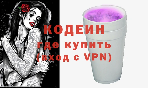 СК Бронницы