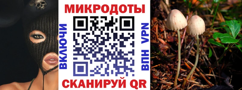 Псилоцибиновые грибы мицелий  Купить где  Севск 