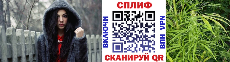 Купить закладки  Севск  Канабис Amnesia 